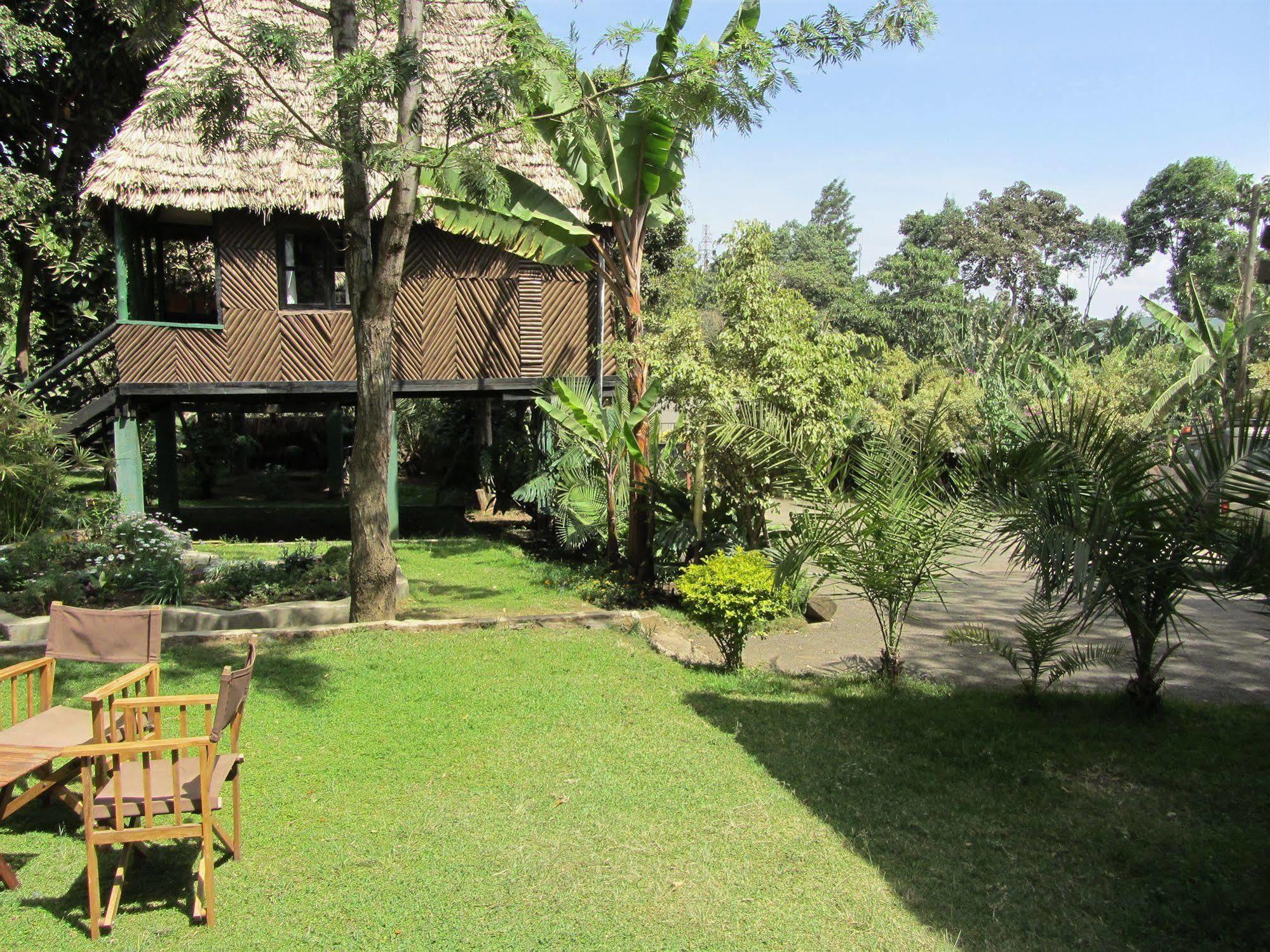 L Oasis Lodge And Restaurant Arusha Exterior foto